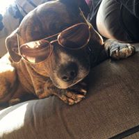 April Rogers Photo 21