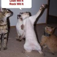 Marcus Swift Photo 8