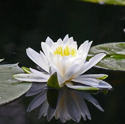 Christina Blodgett Photo 4