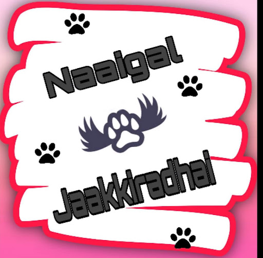 David Christy Photo 39