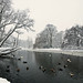 Steven Witte Photo 32
