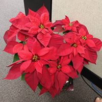 Elizabeth Byrd Photo 17 Elizabeth Byrd Photo 17