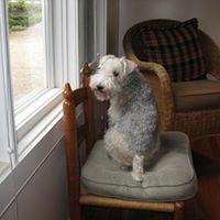 Sue Minor Photo 20