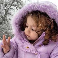 Milton Fletcher Photo 32