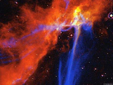 Brenda Ferrell Photo 25