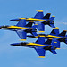 Angel Falcon Photo 30