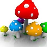 Fred Valdez Photo 11