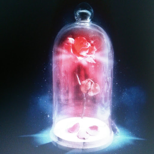 Patricia Villalobos Photo 20