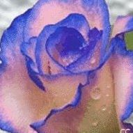 Angie Burks Photo 5