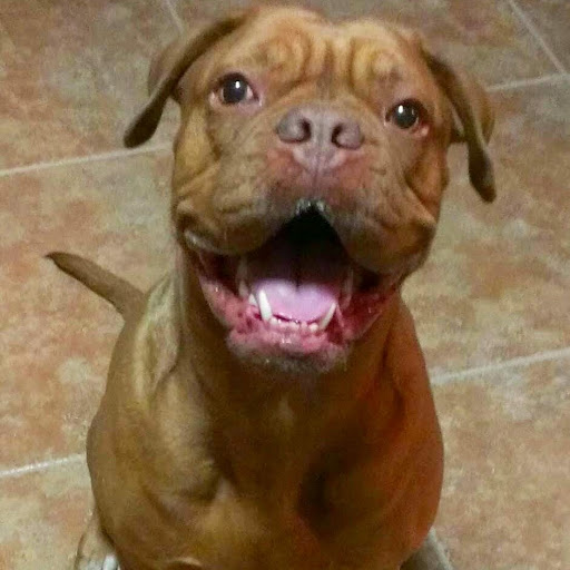 April Frost Photo 35