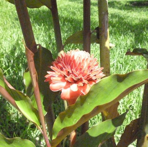 Sara Jimenez Photo 12