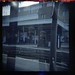 Diana Green Photo 18