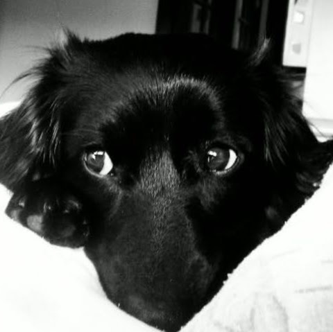 Philbert Spencer Photo 1