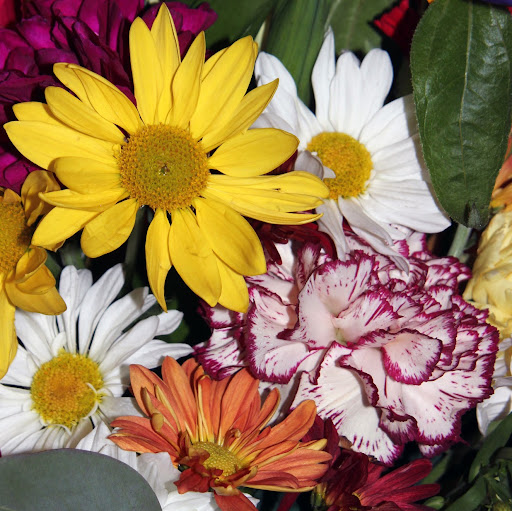 Barbara Topper Photo 6