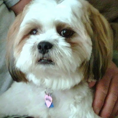 Gary Mcclain Photo 21 Gary Mcclain Photo 21