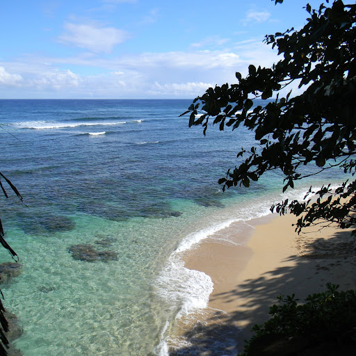 April Lowry Photo 29