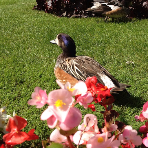 Philip Barnes Photo 22