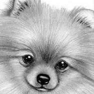 Beverly Atkinson Photo 27