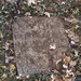 Sarah Kimbrough Photo 20