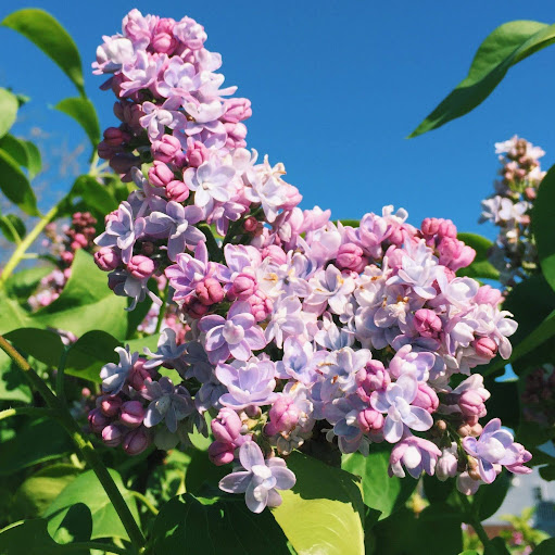 Elizabeth Terrell Photo 22