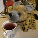 James Tea Photo 20