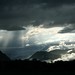 Michele Storms Photo 9