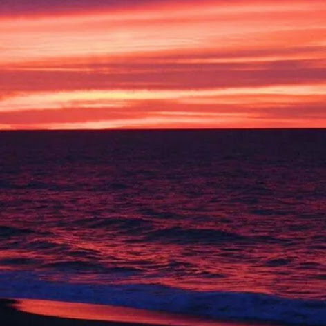 Denise Mcleod Photo 35