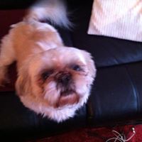 Paul Cheney Photo 29