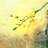 Matthew Oliver Photo 37