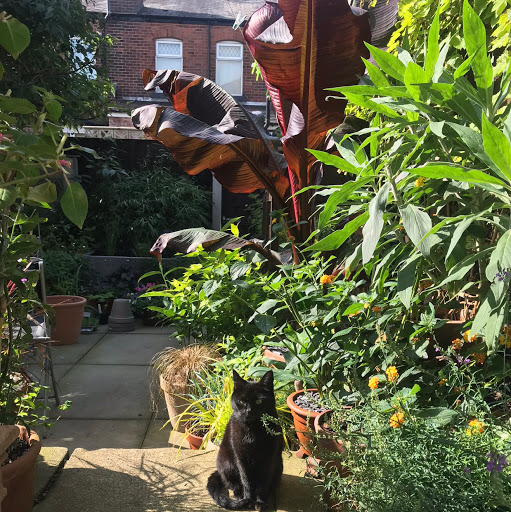 Raymond Mooney Photo 7