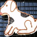Phyllis Reynolds Photo 13