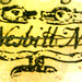 Robert Nesbitt Photo 15