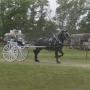 Sarah Sharpe Photo 7