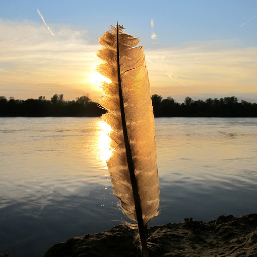 Mark Frazier Photo 33