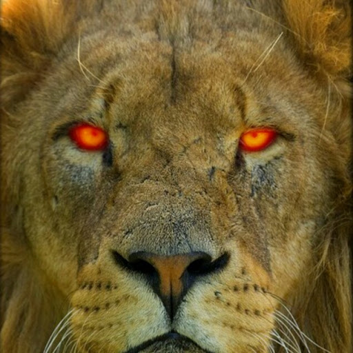 Bryan Morton Photo 12