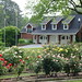 Sue Dean Photo 30