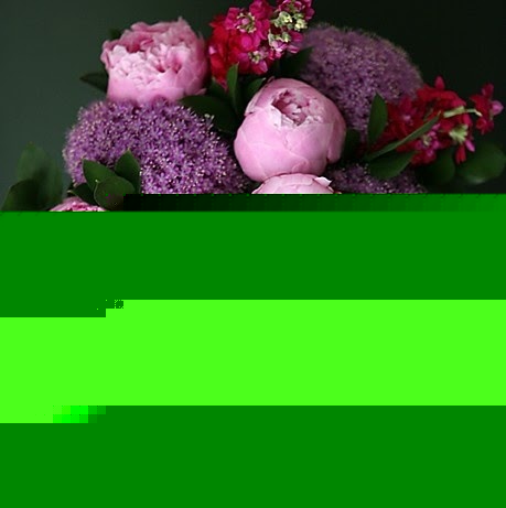 Katherine Hanna Photo 13