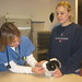 Elizabeth Spangler Photo 13
