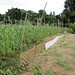 Anne Stowell Photo 14