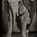 Richard Heffernan Photo 9