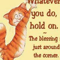 Mary Wampler Photo 12