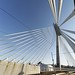 William Bridges Photo 53