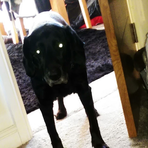 Lisa Stokes Photo 36 Lisa Stokes Photo 36