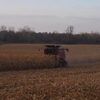 Corey Schultz Photo 12