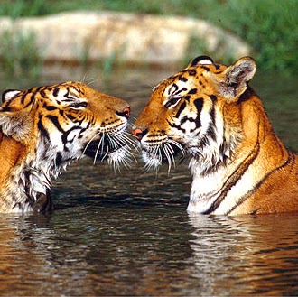 Barbara David Photo 30