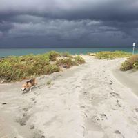 Sarah Shipp Photo 16