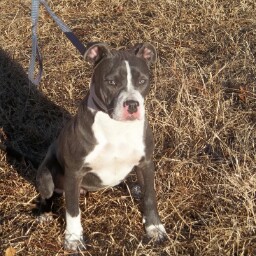 Rose Roberson Photo 35