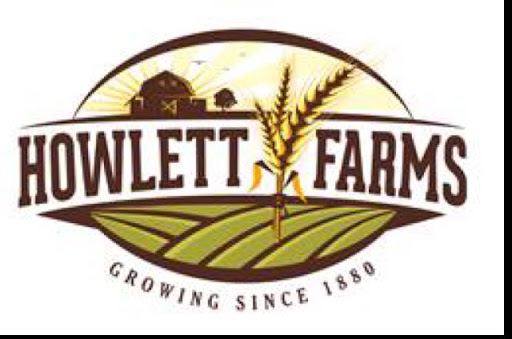 Michael Howlett Photo 19 Michael Howlett Photo 19