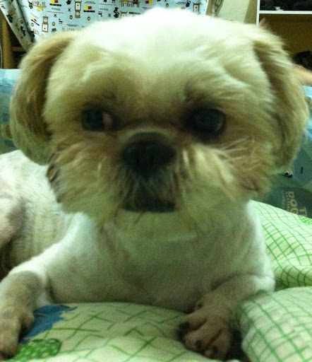 Fang Lin Photo 8 Fang Lin Photo 8