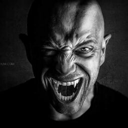 Thomas Willms Photo 21